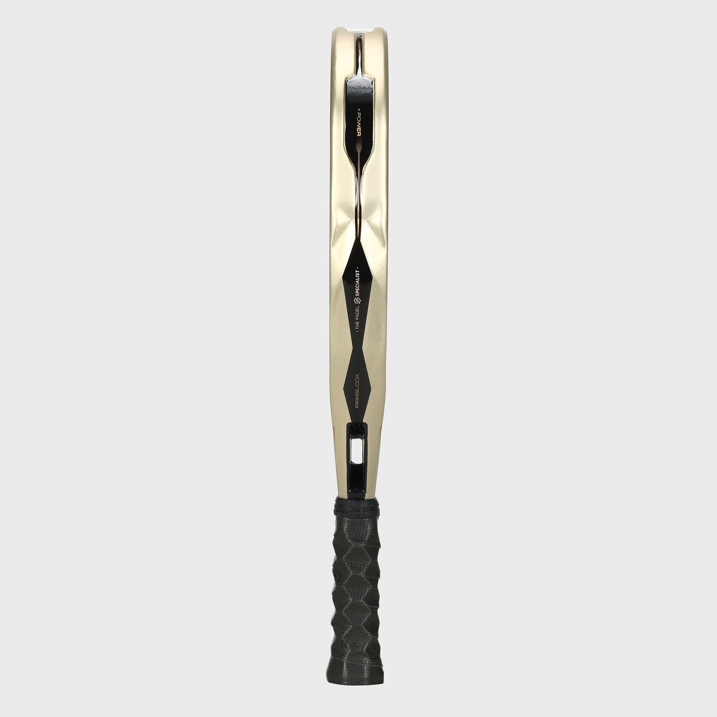 PALA NEURON 02 PP26
